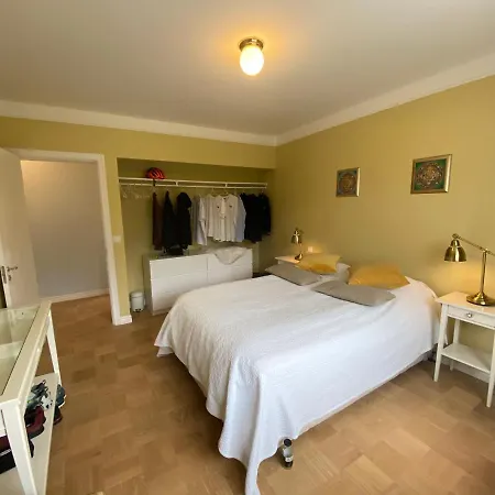 Casa Disa - Dreams, A Boutique Guesthouse In Reykjavik City'S Central Park And Botanical Garden In Laugardalur, Hot-Spring-Valley Esterno foto