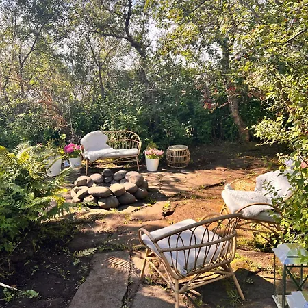 Casa Disa - Dreams, A Boutique Guesthouse In Reykjavik City'S Central Park And Botanical Garden In Laugardalur, Hot-Spring-Valley Esterno foto